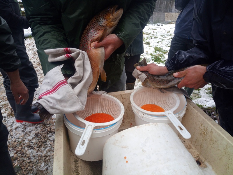 BPREA orientation Aquaculture Ă distance