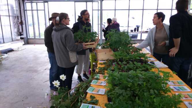 CAPa MA Productions Végétales et Horticoles